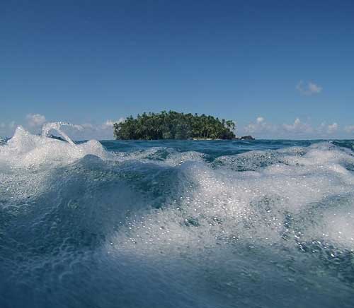 small palm tree island