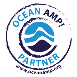 Ocean Amp Logo